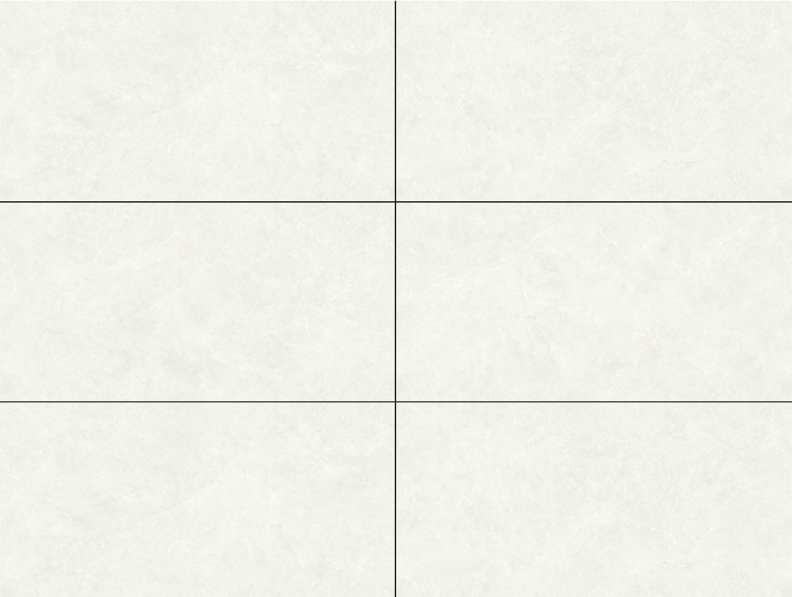 T48FTC8806-LP 银杏