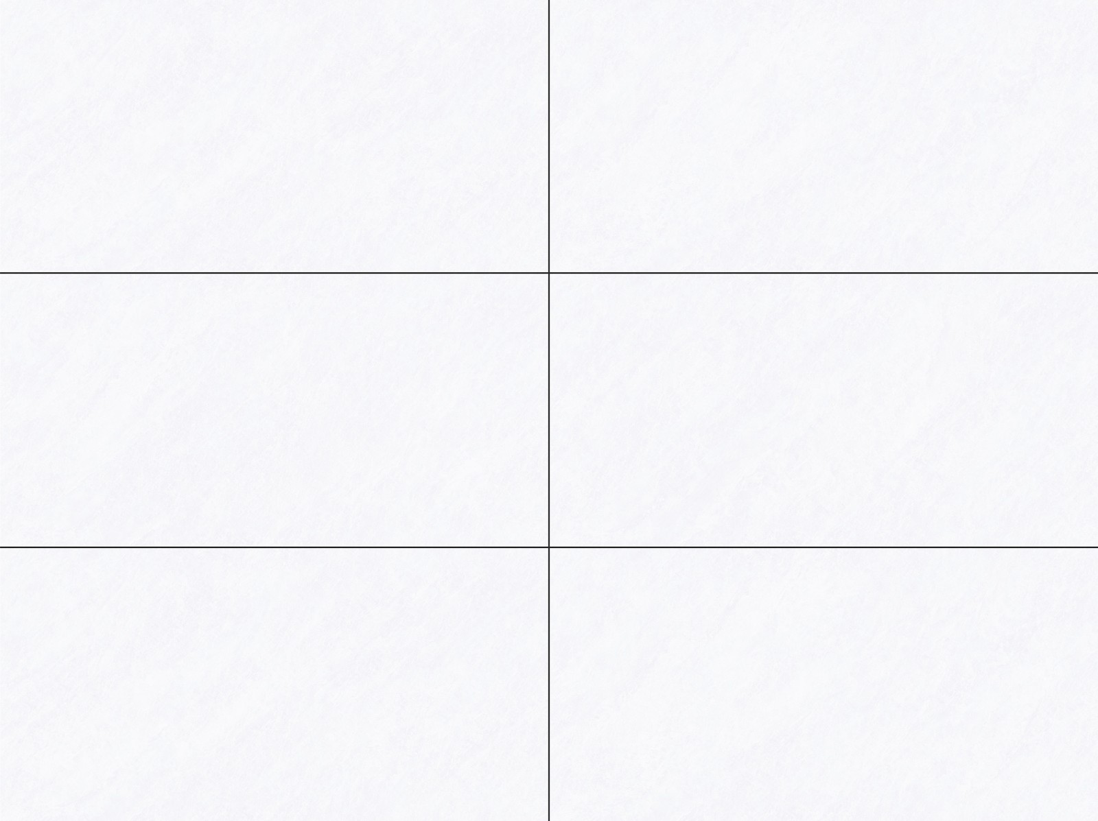 T48FTC8801-LP 白桦